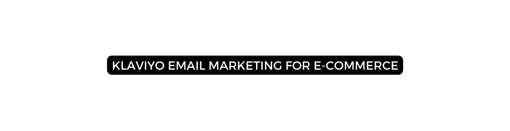 Klaviyo Email Marketing for E Commerce